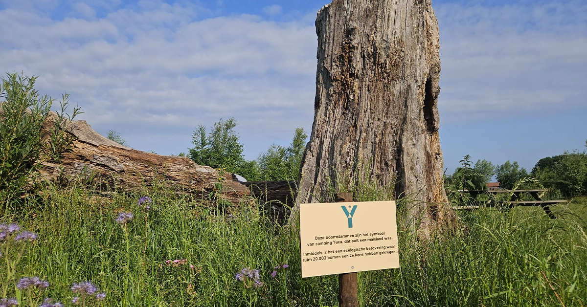 Meer dan 20.000 bomen en struiken