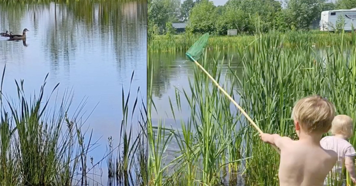 de zwemvijver is open