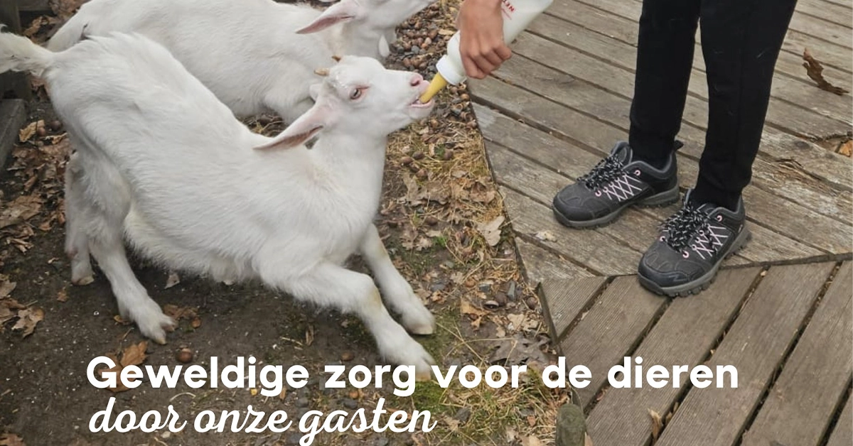 favoriete zomermomenten 4